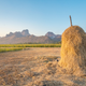 Imagen: Martinho Smart / Shutterstock